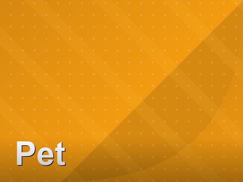 Pet no Leblon
